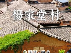-杨家堂村