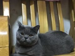 -联合动物医院(光谷诊疗中心)