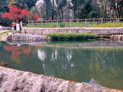 -成都市活水公园