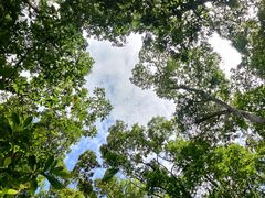 -广州市流溪河国家森林公园