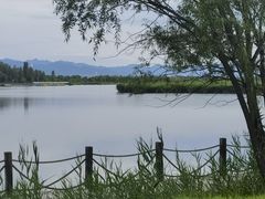 -野鸭湖国家湿地公园