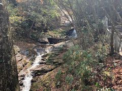 -燕子河大峡谷天坑仙境