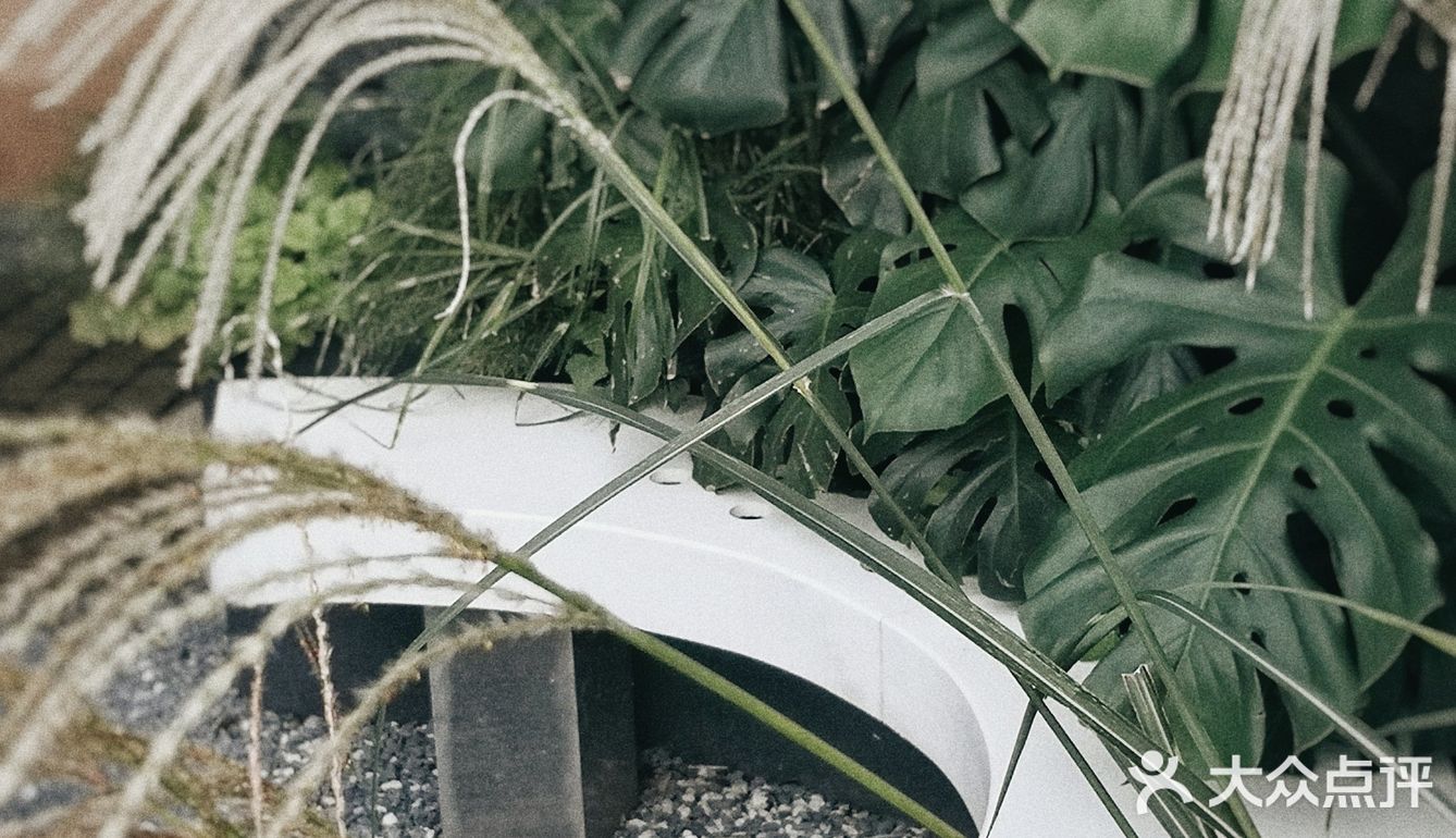 人间吃货，所幸之食