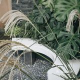 人间吃货，所幸之食