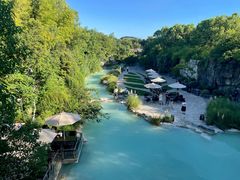 -吴淞炮台湾湿地森林公园烧烤区