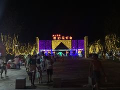 -杭州湾海上花田景区