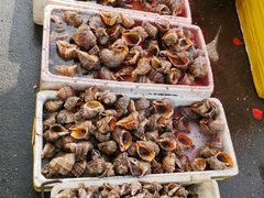 -青岛沙子口国家中心渔港