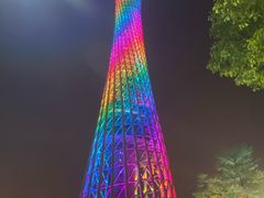 -广州都市观光巴士(粤陶巴)