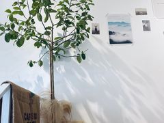 -隹木咖啡馆(宝龙广场店)