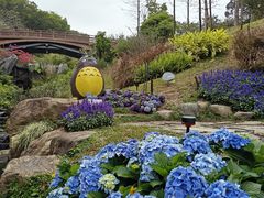 -云溪植物园