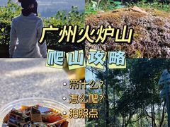 -火炉山森林公园