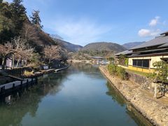 -岚山猴子公园