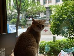 -咖法森林·咖啡  酒吧(天河店)