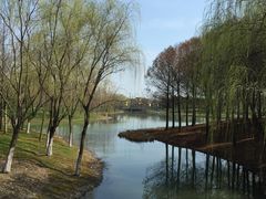 -尚贤河湿地