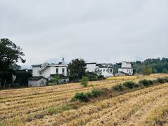 -塔川景区