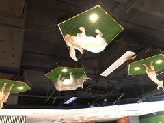 -H次元沉浸剧情密室(街道口店)