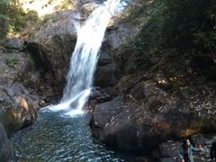 -九龙江国家森林公园