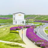成都旅游｜这里拍照很出片