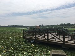 -上海海湾国家森林公园