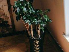 -北戴河转鱼·炒螃蟹酱餐厅