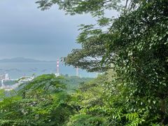 -小南山公园