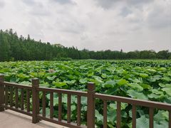 -云龙湖旅游景区