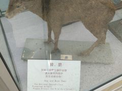-北京中医药大学-中医药博物馆