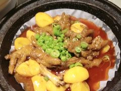 -8号厚厨(凤凰店)