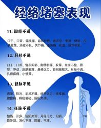 -玛莲朵·海菲秀冰珀科