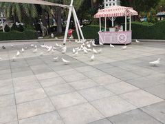 -厦门方特梦幻王国