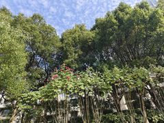 -洋湖国家湿地公园