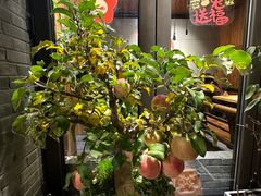 -四喜小胖·北京涮肉(五道营店)