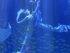 -华夏文旅海洋公园