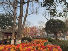 -成都市文化公园