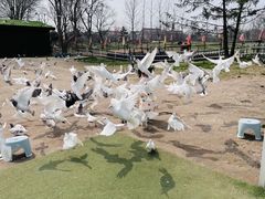 -南通洲际绿博园