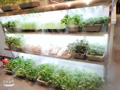 -鲜货俚鲜火锅(青果路店)