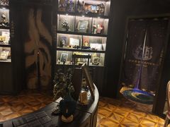 -雪灵魔法世界SHELLY’S TAROT(大良桂畔里店)
