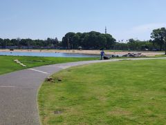 -上海月湖雕塑公园