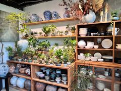 -自由生长植物工作室(深港花卉中心店)