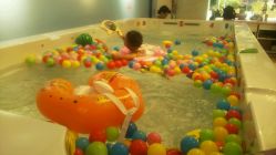 点击看大图 -雏芽婴幼儿游泳·小美医生小儿推拿(西村店)