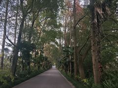 -同里国家湿地公园