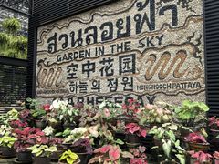 -东芭乐园