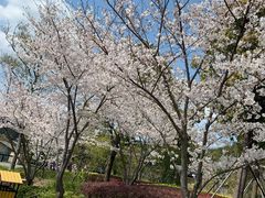 -苏州上方山国家森林公园