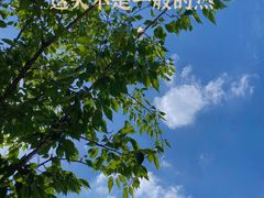-智慧湾科创园