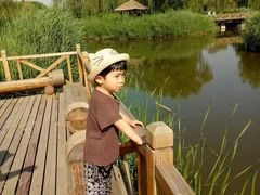 -碓臼峪自然风景区