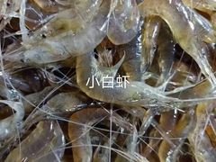 -山海经·海边人家 海鲜新青岛菜(扬州路店)