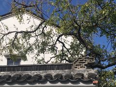 -东山风景区(洞庭东山)