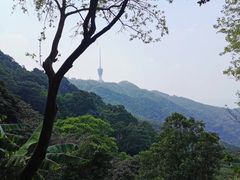 -梧桐山风景名胜区