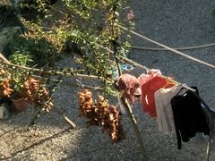 -柞水乾佑红门家菜