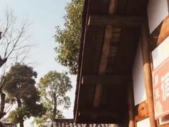 -秀丽东方
